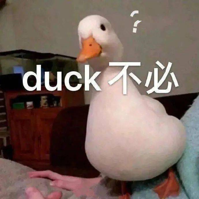 网络|“梗”：网络空间新型典故的诞生