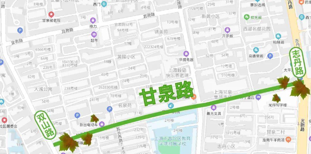 悬铃木甘泉路(双山路—志丹路)悬铃木双山路(新村路—交通路)悬铃木