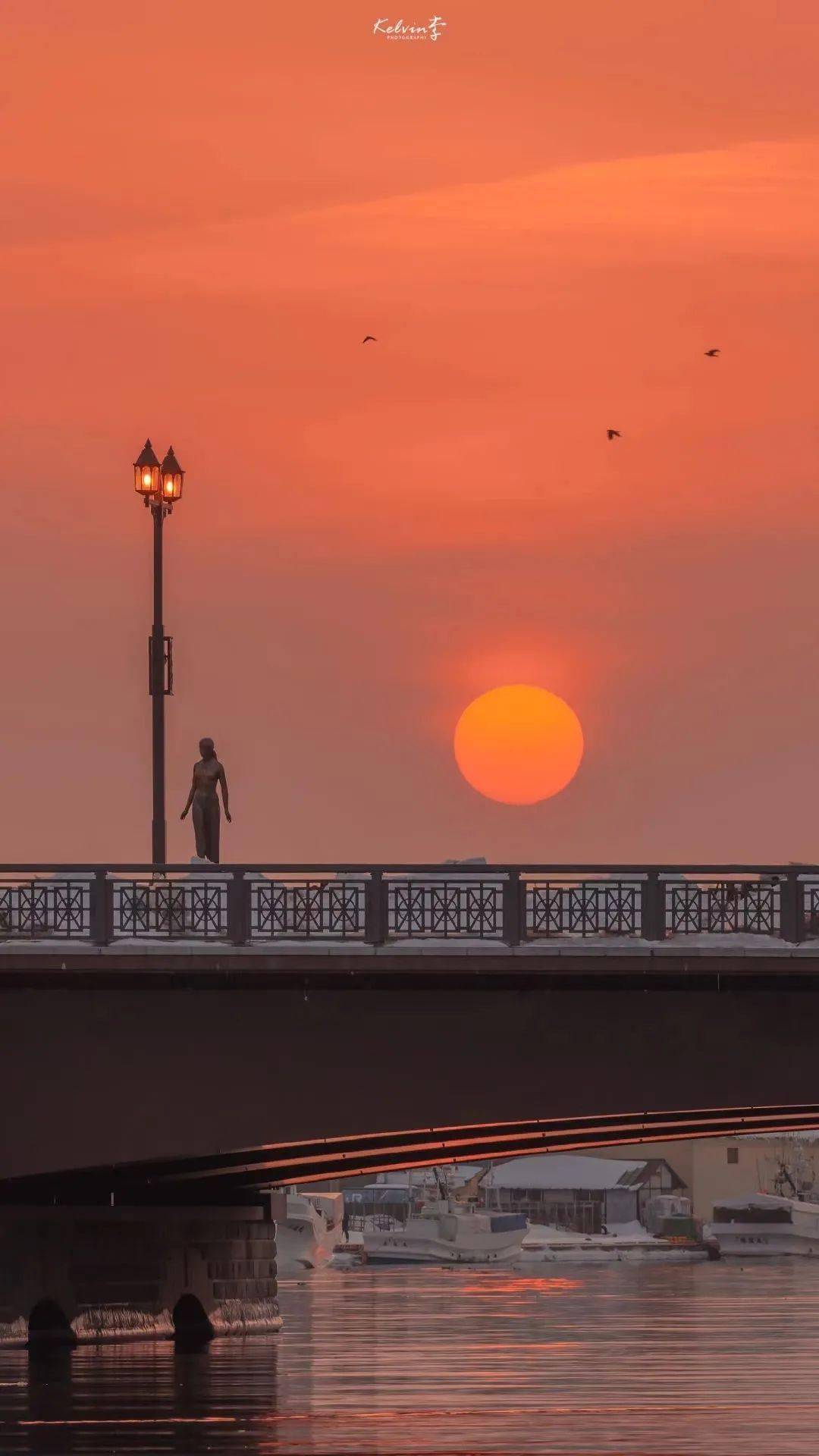 无效社交摧毁有趣灵魂 我的孤独让我永远高傲_背景图