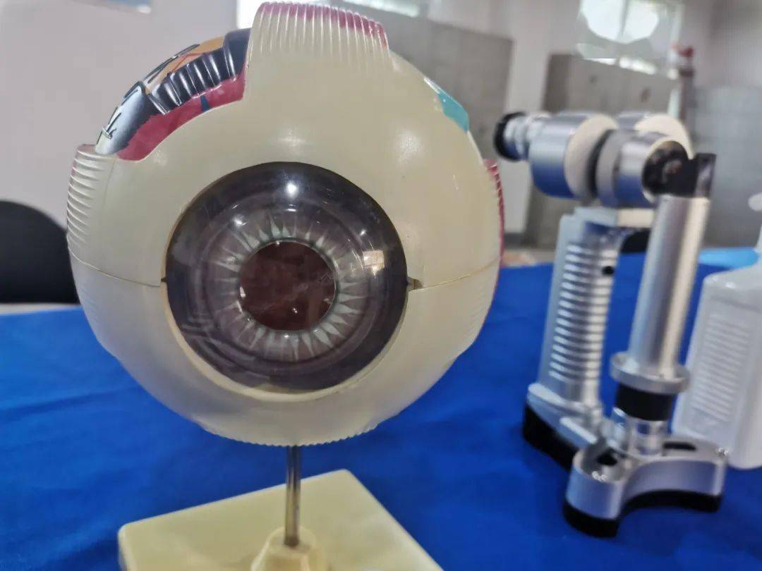 义诊关爱绿化人点亮眼睛公益行