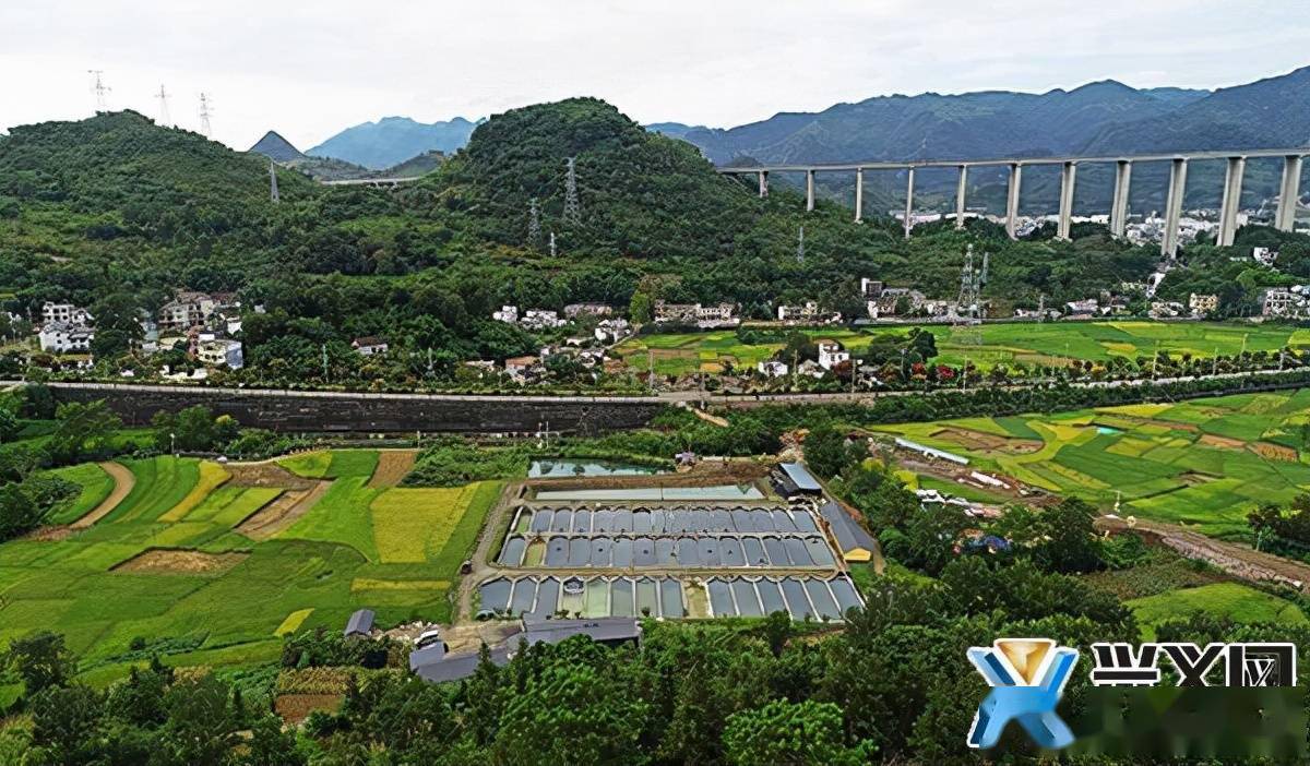 清水河镇:生态养殖"鲟"富路特色产业促增收