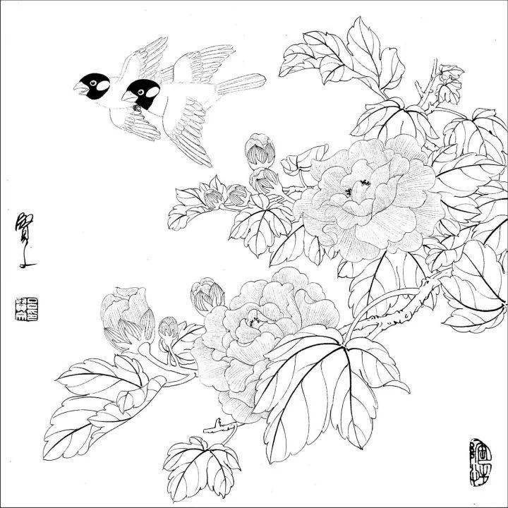 工笔花鸟白描图片欣赏 016bfacb08994c9c8f0f936ea0535be1.jpeg