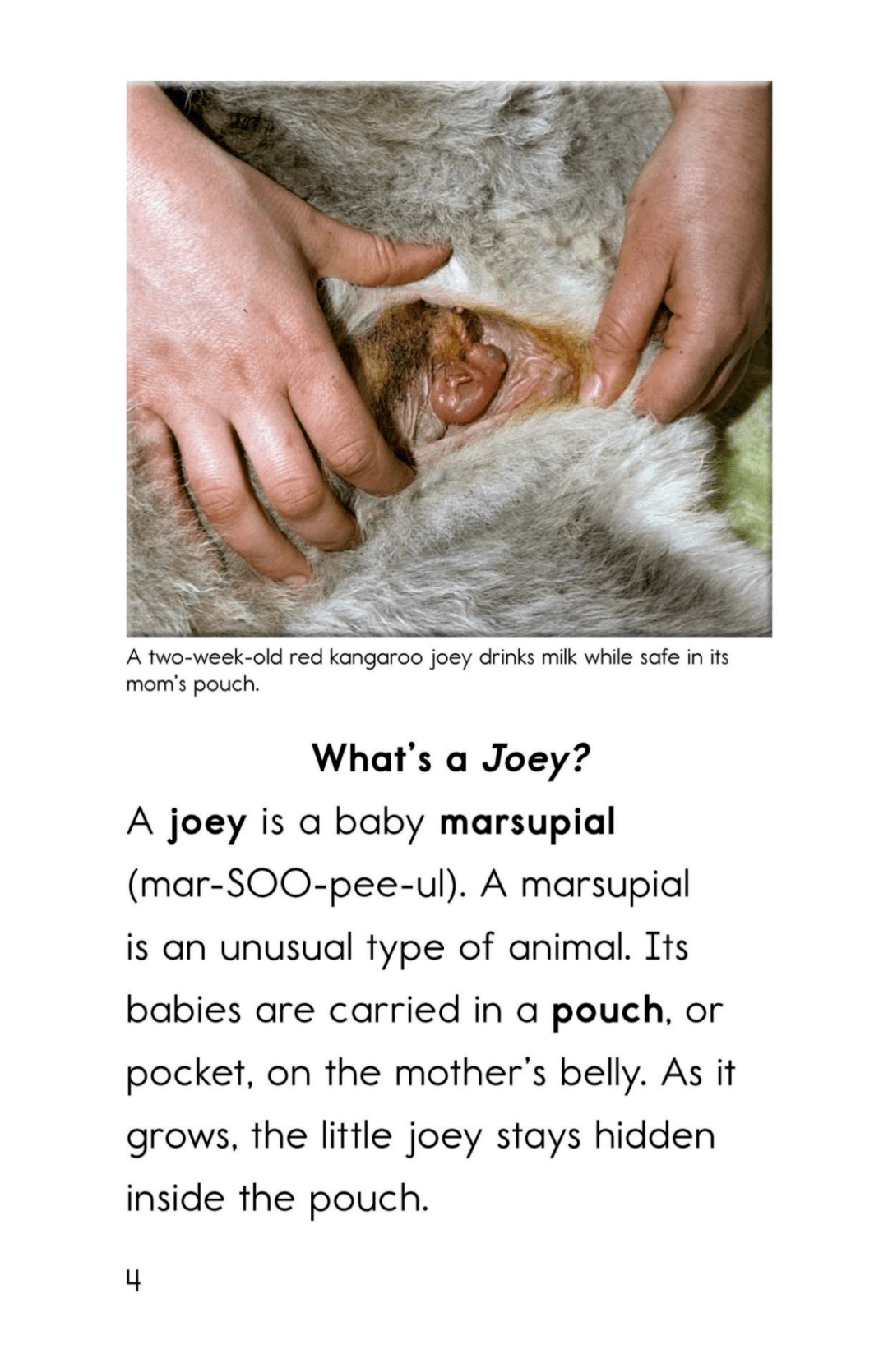joey+mills+and+felix+max