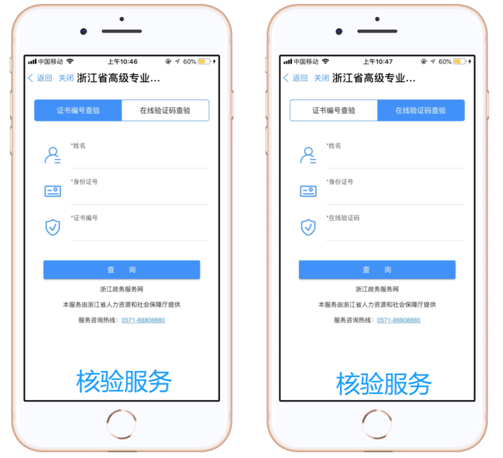 浙江政务服务网在线验证码是多少