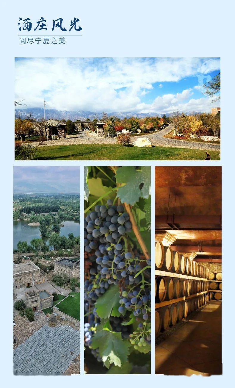 活动|打造葡萄酒之都丨2021中国（宁夏）葡萄酒文化旅游节精彩亮点抢先看~