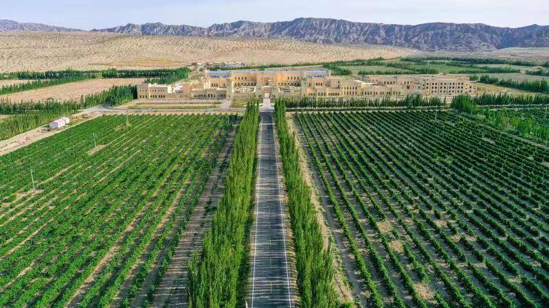 文化|中国西海博斯腾湖“酿造”北纬44°的浪漫