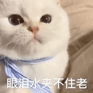659bcf84808141fba4a1c2eca779a148.png