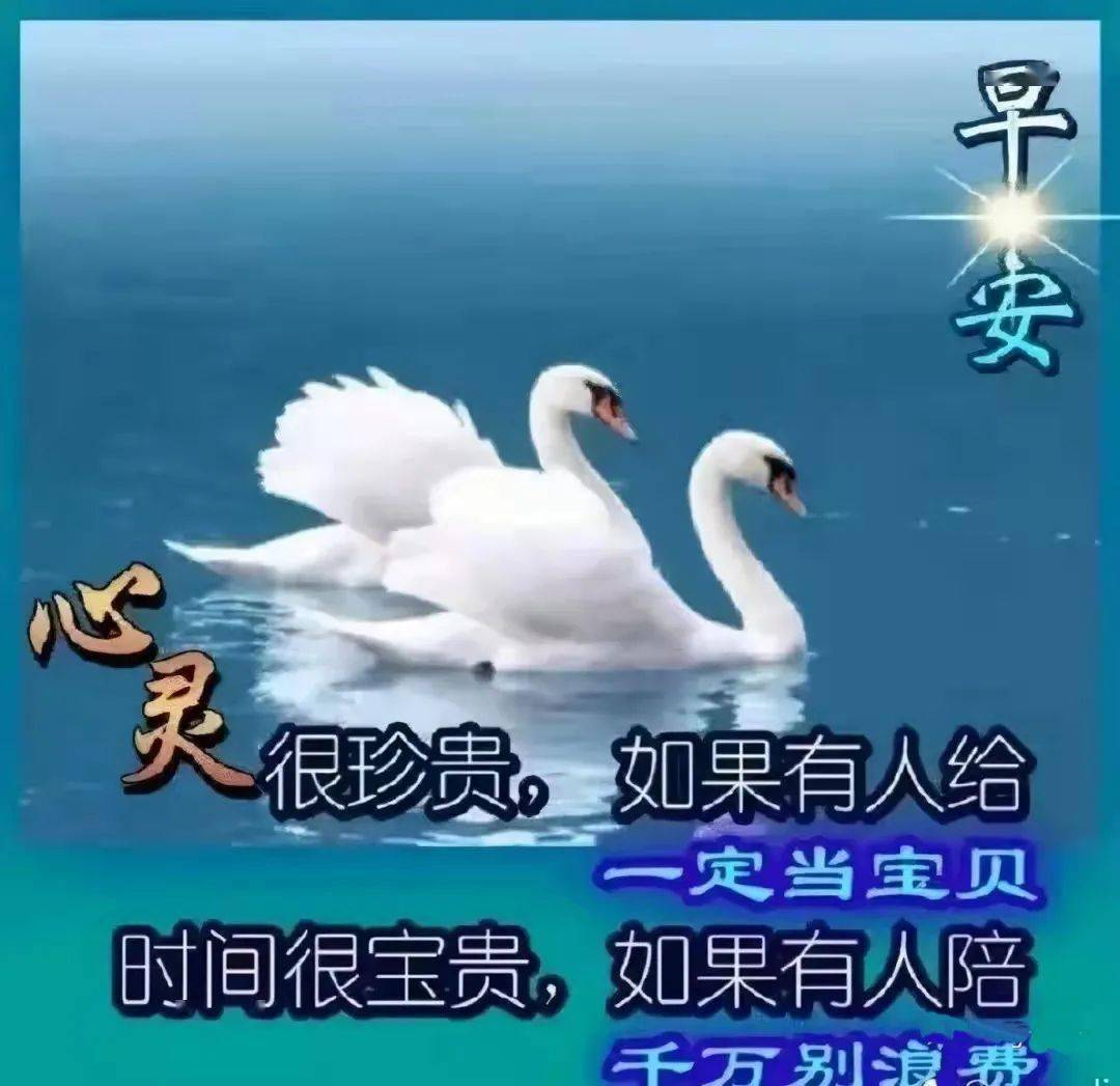 珍惜彼此让友谊天长地久早安