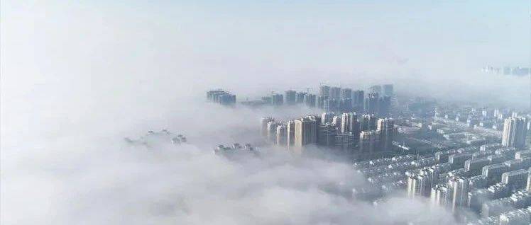 泗洪美景!平流雾笼罩天空 晨雾缭绕宛若仙境_沈金亮