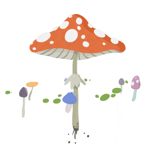 又是毒蘑菇长这样的菌菇千万别碰