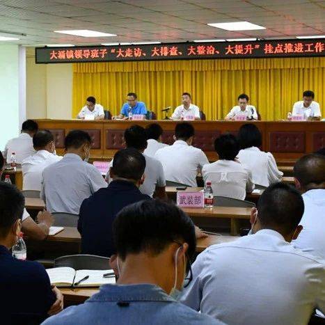 大涌镇召开“大走访、大排查、大整治、大提升”挂点推进工作会议_王英康