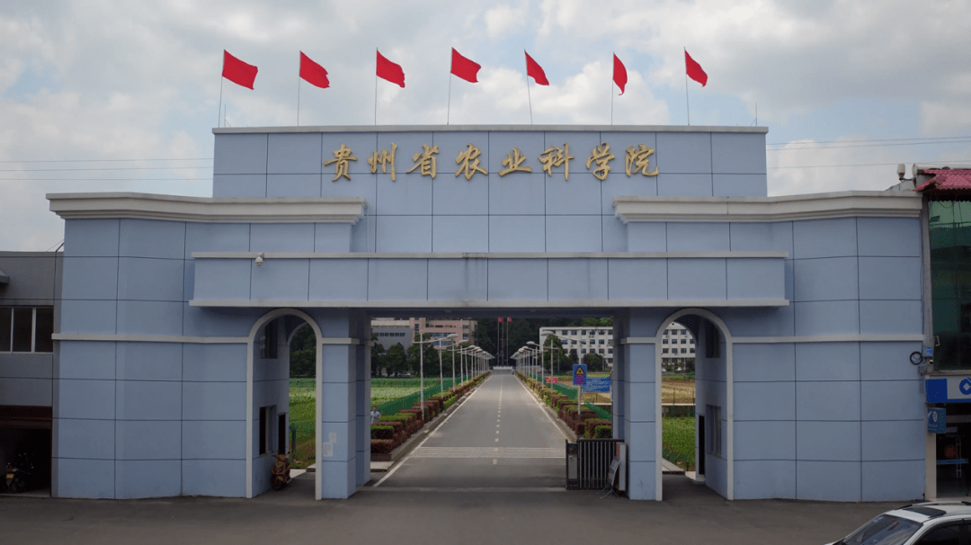 事业 | 贵州省农业科学院2021年招聘工作人员78人