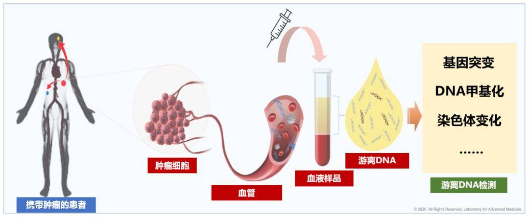 癌症|一管血筛查几十种癌症，到底怎么做到的？