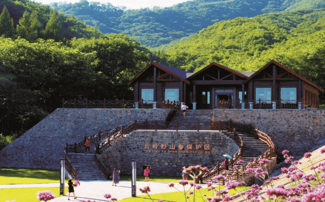 【金秋通化】教师节的礼赞,在云岭野山参风景旅游区看见_景区