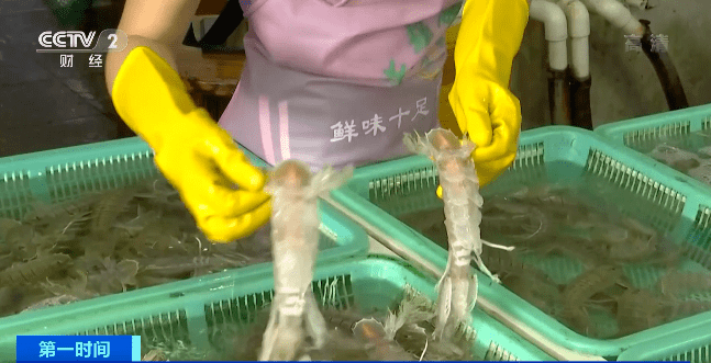 老伯|老人吃海鱼头后险截肢，免疫力低下人群，吃海鲜千万要注意→