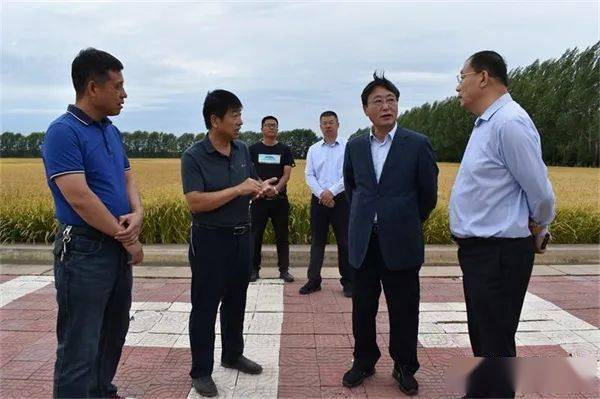 柳毅到大兴农场有限公司检查指导秋收生产工作
