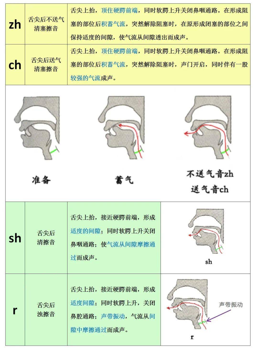 发音方式和发音部位图图片