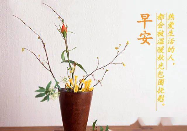 最能打动人心的早安问候每天在群里发早安问候的句子