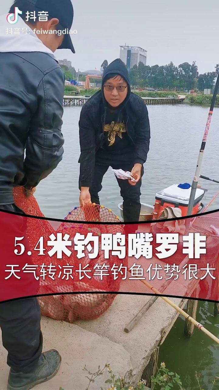 天气转凉长竿钓罗非有绝对的优势非王钓李闯钓鱼黑坑钓罗非