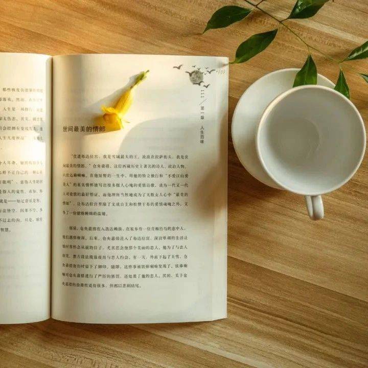 一日禅｜低能量的社交，不如高贵的独处_写作
