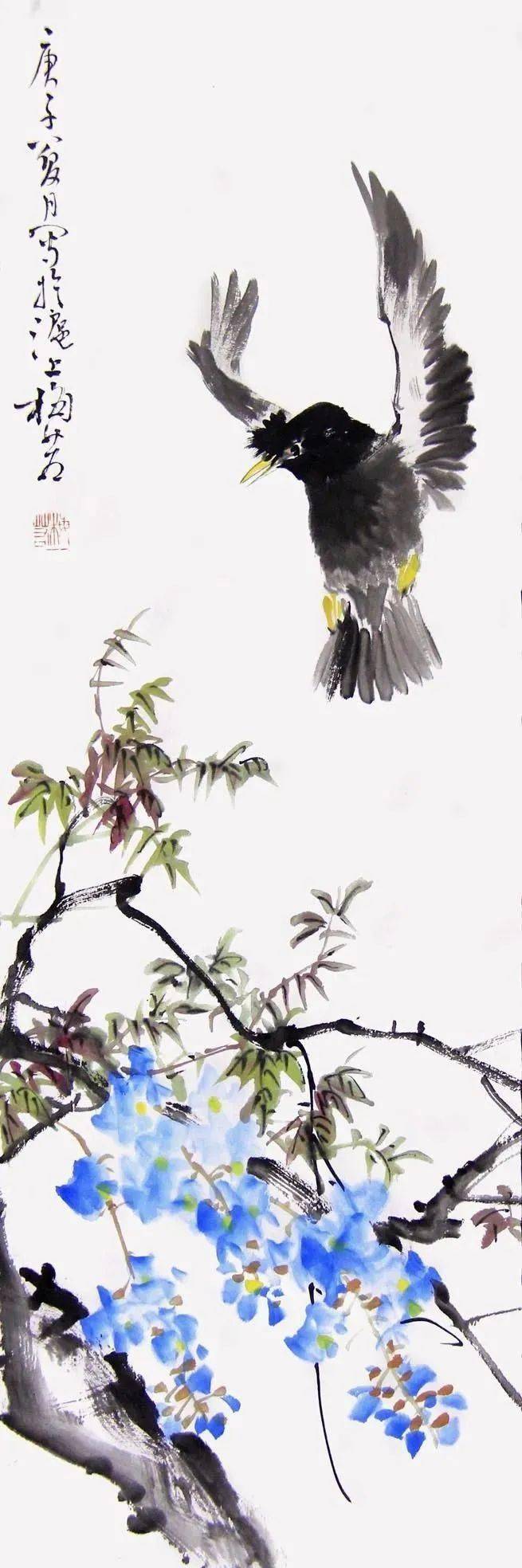 梅若老师画鸟,灵动可爱_国画