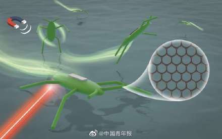 水面|中国科学家成功研发仿水黾微型机器人 实现微型机器人在水面游动、跳跃