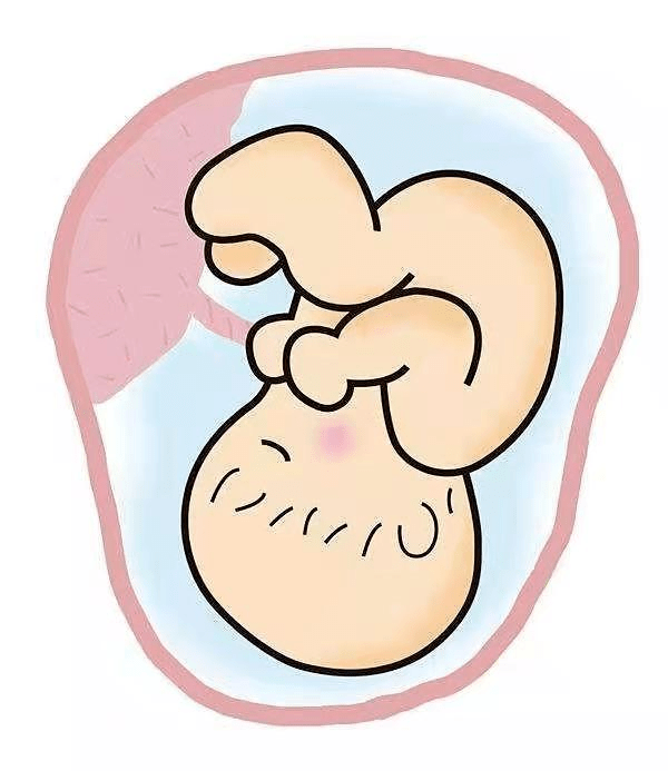 da131df190924e2bb167e6e5b851abdc.png