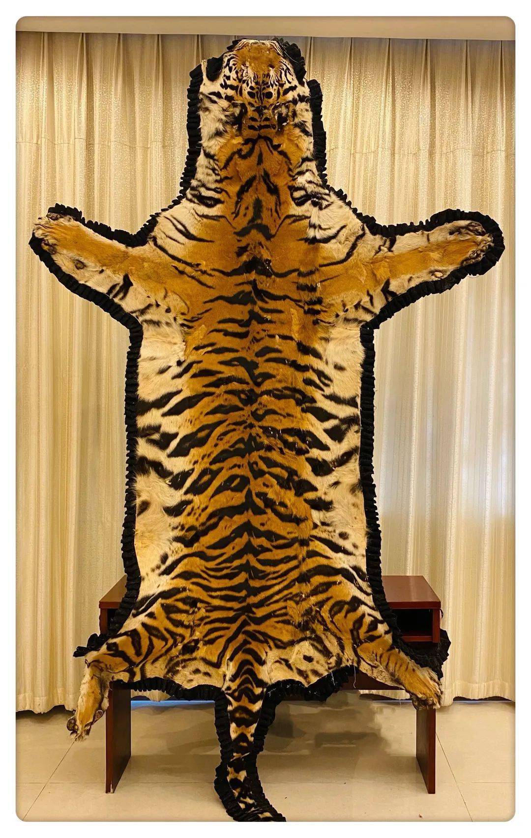 (标本):499 非法出售珍贵,濒危野生动物制品案查获制品老虎(虎皮)