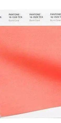 灵感|时尚圈的新物种，一只“海豚”的潮流单品“上位”史