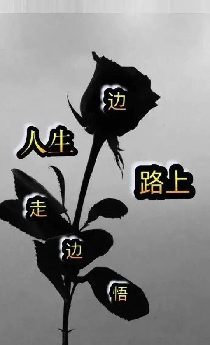 人生就是要一路向前看