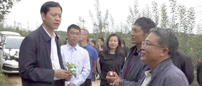 马洪旗、杨绪春到文屏桃源等乡镇调研,为苹果病虫害防治、肉牛养殖产业等把脉问诊开良方_鲁甸