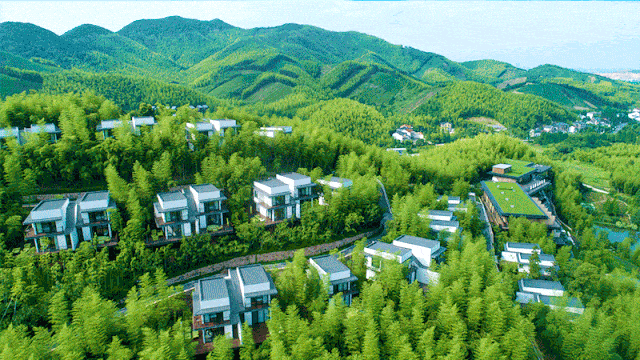 镶嵌在蜻蜓山谷间,从300亩竹海茶园里长出来的童话仙境,杭州自驾约1h