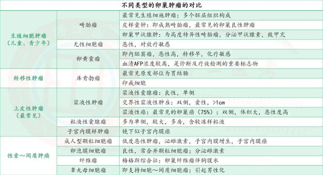 【臨床】女性生殖系統知識點(1)