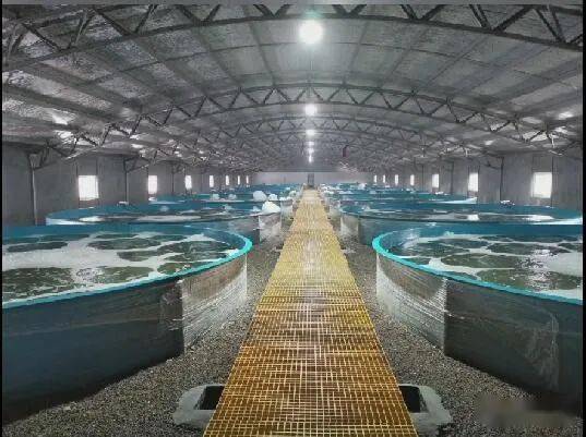 这里将打造,中国技术最先进,规模最大的养虾基地!
