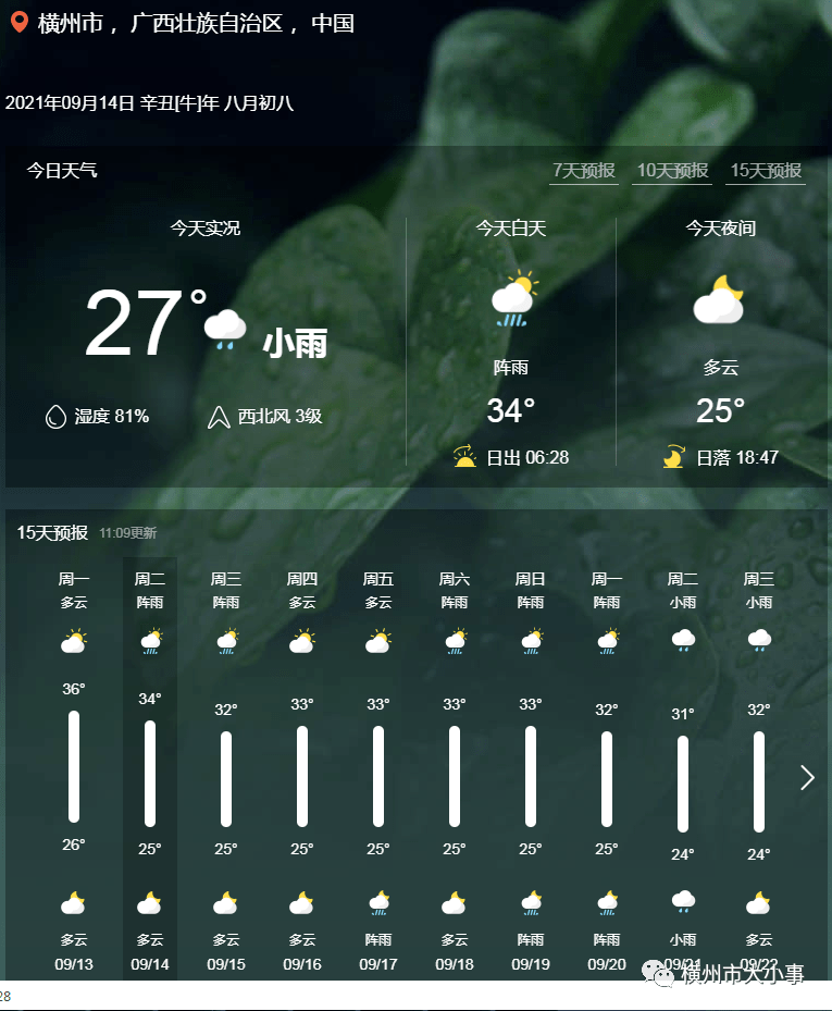 每日花价:9月14日 横州市茉莉花鲜花价格;明日天气预报