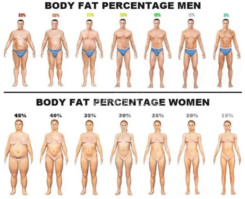 bfbb1daf575c48f7bf2d52f7d45a882a.png