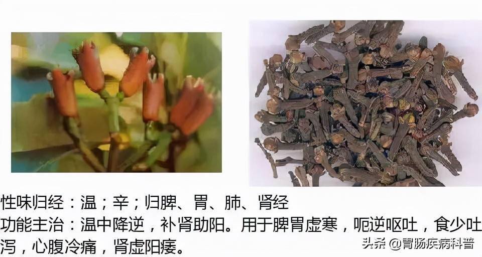 苦杖,斑杖,花斑杖,紫金龍,酸湯杆,山大黃,陰陽蓮虎杖別名:茵陳蒿,綿