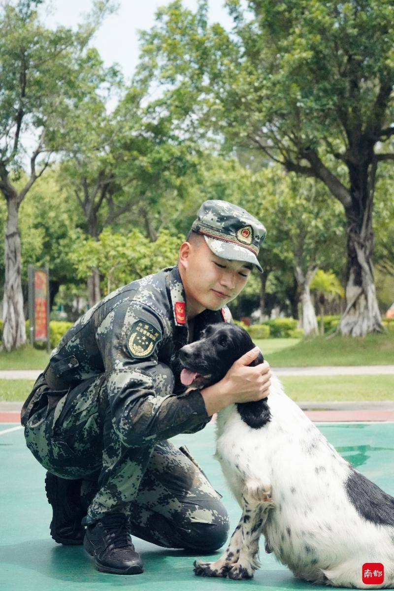 軍犬養成記:士兵為其當