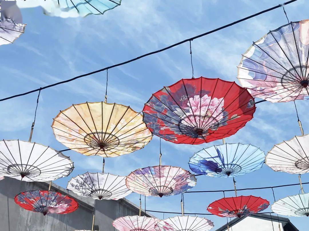 瑞安大沙堤新晋网红打卡点,带你走进油伞下的世界_油纸伞