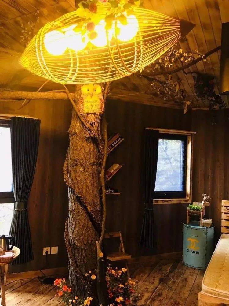 靓图|童话里的小木屋