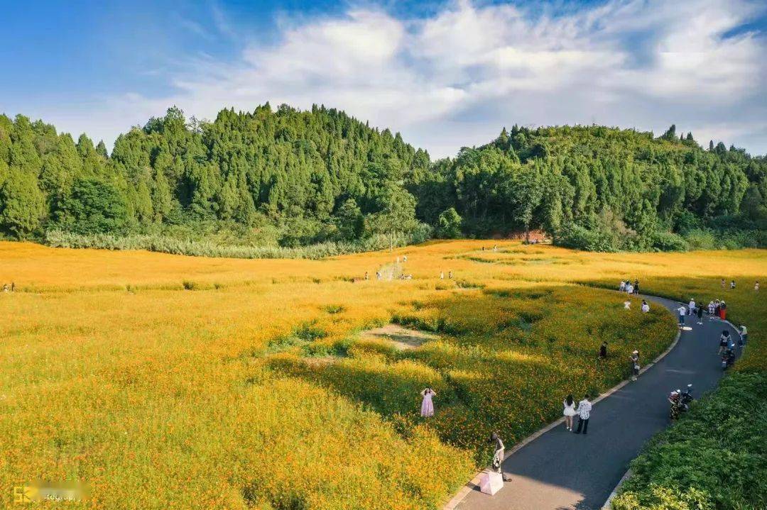 冲呀遂宁新晋打卡胜地花开成海