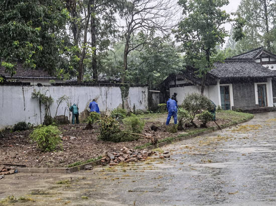 梳理地被，让茅乡的野趣“自然有序”