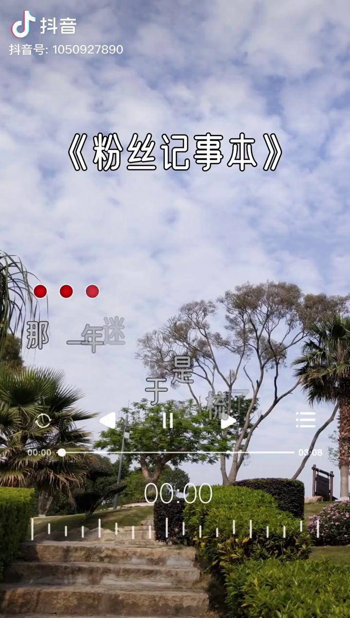 粉丝记事本这是你记忆中的那个年代吗感谢我的青春有你们