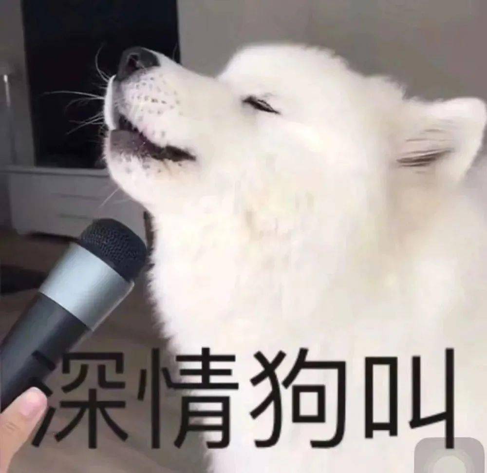 阴阳怪气表情包就这就这