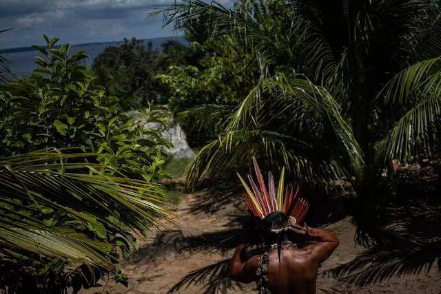 Rio|活吞幼虫，吃蚂蚁拌饭…亚马孙雨林原住民网络吸粉600万 却付不起网费