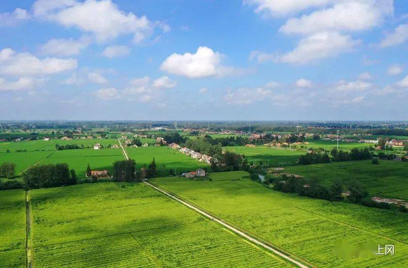 【航拍上冈】光华村,炎炎初秋,浓浓乡情_上冈镇