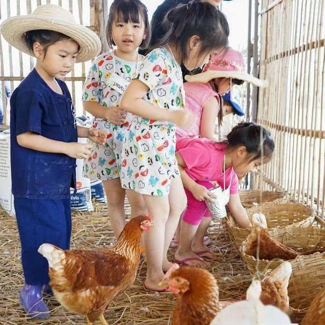新塍采摘园：初夏时节的乐趣与美好