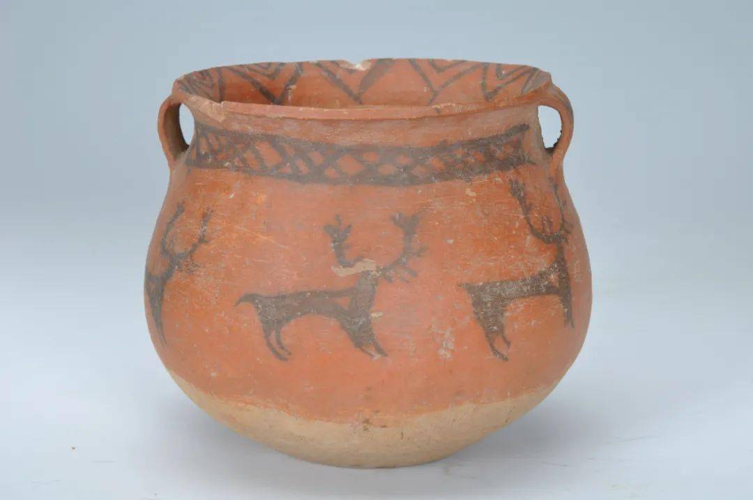 新展早报丨青铜时代的生动图景考古展带您探秘彩陶上的动物世界