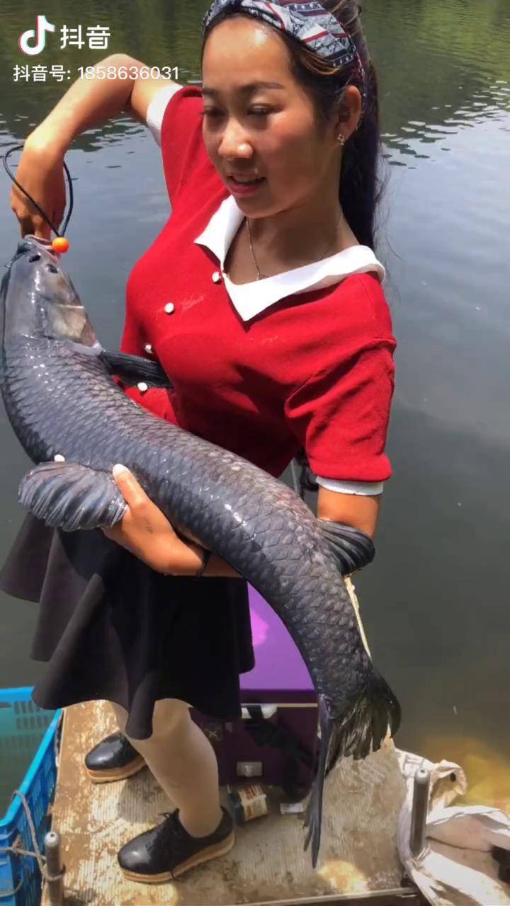 大草鱼怎么这个黑是不是水不好