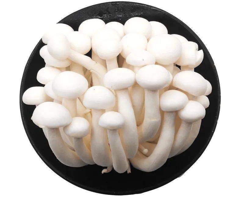 15元买了一袋白玉菇法院判赔千元这是为何